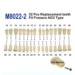 Frasaco AG3 Tip Fit Dental Değiştirme 32pcs Vid-in Diş Modeli Tipodont Standart Uygulama Doldurma Restorasyon Demosu M8022-2 240520