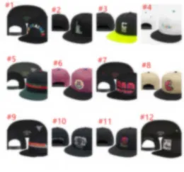 2024 NUOVI CAYLER E SONS SON SON SNAPBACK Caps Hip Hop Cap Baseball Cappelli da baseball per uomini Bones Bones Snapbacks Hat Bone Gorrasfyoo H19-5.24