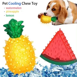 Haustierkühlung Kauspielzeug wiederverwendbares Hund Katze Spielzeug Zahne Sommerkühlung Wassermelon Ananas Zitron