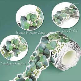 Flores decorativas Placa de bulletim de fronteira de eucalipto aprimora sem esforço sua ampla gama de aplicativos para a parede da janela