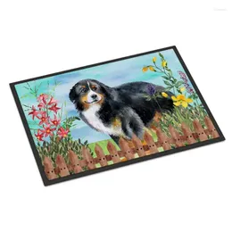 Tapetes bernese montanha cão de primavera tapete interno ou ao ar livre bem -vindo 18x27 ginástica academia felpudo puerta oração