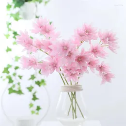 Flores decorativas plantas
