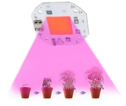 100W 70W 50W LED CoB Grow Grow Light Salding Free 220 V 110 V Chip LED per piante Grow Grow Tent Light Spectrum Phytolamp LED Full Spectrum Phytolamp