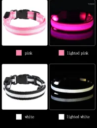 Collari per cani Collar Light LED USB Pet Up Sicurezza Night Glow Flashing Nylon 3 Mode Accensione a carico