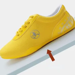 Asics kung fu shoes sales