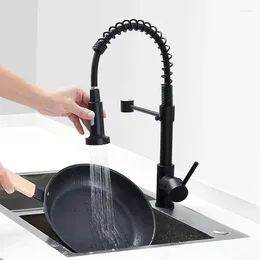 Küchenarmäuren Topx 360 Schwenkfederschwarz Wasserhahn