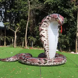 Pubblicità su misura da 6 mH (20 piedi) con replica di serpente gonfiabile gigante del soffiante per la decorazione degli eventi Sport