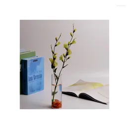 Вазы Китай Производит качество качества высокой обратимой геометрического террариума гидропонный стеклянный стеклянный ваза