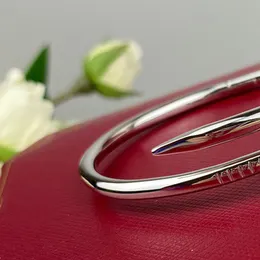 bangle BIG Sterling Silver Hollow Tube Elastic bangle bangles designer T0P quality official reproductions size 16-19CM jewelry brand designer with box 007B