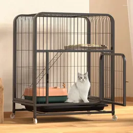 Carries de gatos Pens Crates Cage Prefab House Water -Fonte Habitats Metal Couch Stuff Stuff Villa Trasportino por Gatti Pet Furniture