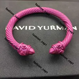 Novo Dy Desgente David Yurma Jóias de alta qualidade Pulpar cromo simples elegante e elegante tecido torcido corda moda David Bracelet Punk Jóias Bracelets