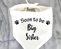ملابس الكلاب قريبا لتكون أخت كبيرة باندانا إعلان الحمل pos دش هدية الكشف عن وشاح أبيض أسود لطفل الحيوانات الأليفة