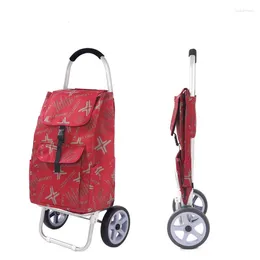 Aufbewahrungsbeutel wiederverwendbarer Einkaufstaschen Trolley Gemüsemarkt mit 21 cm großen Rädern tragbarer Cart Supermarkt Carro Compra Home