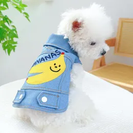 Denim de vestuário para cães para cães outono outono pet ronned jacket jeans jeans puppy roupas xs xl shi tzu chiwawa acessórios