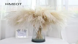 Pampas Grass Decoração de Casa de Reed Bheque Dried Flower Daisy Arranjo de casamento Plantas de Natal Material Flores artificiais 25pcslot 27503017