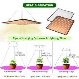 Seametal grow lights 2025