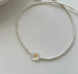 Hängen Daisy Pearl Beaded Necklace Dainty Freshwater Choker Floral smycken stapelbar