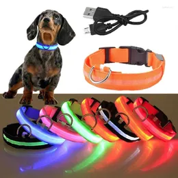 Colarinhos de cães USB recarregáveis de animais de estimação de colarinho brilhante luminoso de colar ao ar livre para caminhar suprimentos de segurança noturna