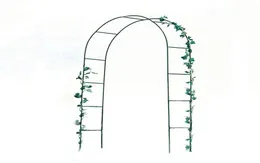 Garden metal pergola party wedding arch plant climbing multifunctional balloon decoration rack6277341