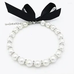 Hundebekleidung Perlen Haustierkragen vier Farbe verfügbar Halskette Schmuck Welpe Katze Hochzeitszubehör für weibliche Hunde