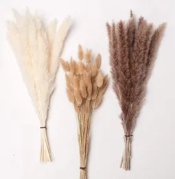 Dekoratif çiçek çelenkleri pampa dekorasyon communis phragmites pampas çim büyük buket sechees bulrush düğün düzenlemesi d5218903