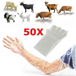 50Pcs Disposable Long Arm Film Farm Glove Veterinary Examination Vet Plastic Glove 240522