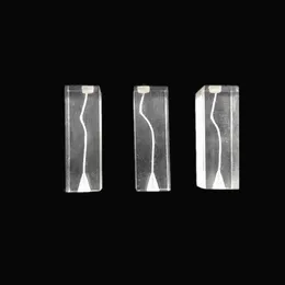 5Pcs Dental Endodontic Root Canal Teaching Study Model Rotary Files Practise Transparent Block S-Shape Straight Curved