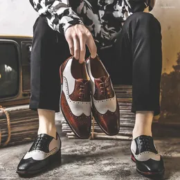 Scarpe casual primavera maschile e intagliata intagliata con la testa a punta comoda tendenza traspirante versatile affari versatili