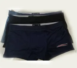 L4XL Luxury Men Boxer Boxer Underpants Underwear Spandex Elastic Shorts для человека плюс размер Cool Fashion Sexy Gay Heartears H3364180