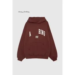 AB Hoodie Women Designer Hoodie Letter Print Wash Water Stir Fry Brand Sweatshirt Snowflake Loose Pullover Woman Anines Binge A739