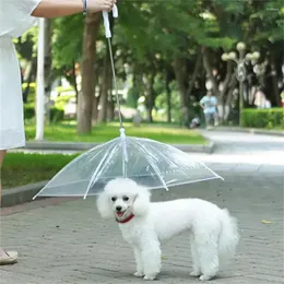 Abbigliamento per cani Rain Pet Cat and Umbrella per Sunny Rainy Travel Children Outdoor Super Markets