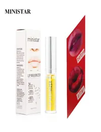 Ministar Lips Maximizer 3D Lip Gloss Volume Plumper Pumping Idratizzante Moisturizante Lipgl Fashion Professional Makeup Ginger Mint Oil 5ML6279763