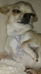 Abbigliamento per cani cravatta Rhinestone cravatta bianca in lega di cristallo in lega principessa collana cucciolo cucciolo lucido per pet colloto ornamento accessori gattini