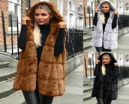 Women039s Fur Faux Autumn and Winter Women fake Fake Best Hooded Fluffy Top Thick Warm Jacket Fashion Ladies Seveless Coat Femal5734207