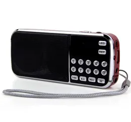 L088 카드 라디오 휴대용 노인 카드 스피커 가라오케 기계의 재고 DHL6577370