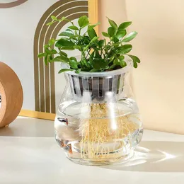  Vazolar Nordic Plastik Şeffaf Çiçekler Pot Vazo Hidroponik Bitki Terraryum Çiçek Şişesi Mini Balık Depk Ev Master Bonsai Dekor