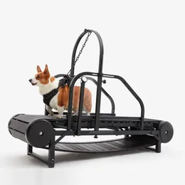 72c08d6b-fd96-4d86-8218-