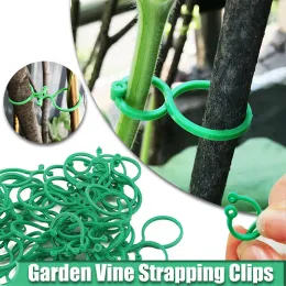 thumbnail image 2 of 50 Pack Reusable Fishbone Plant Cable Ties: Adjustable Plastic Garden Supports For Trees, Vines & More From Homepro17, $24.89 2 of 13