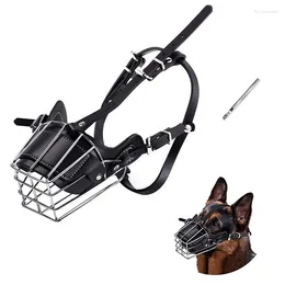 Dog high quality muzzles petbarn