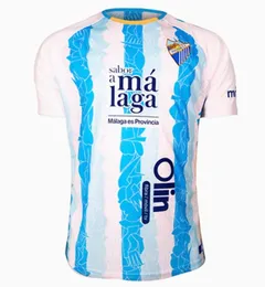 70ebcc6a-4134-4c4a-9241-