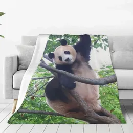 Blankets Fubao Panda Fu Bao Animal Aibao Blanket Super Warm Sherpa Throw For Bedroom Affordable