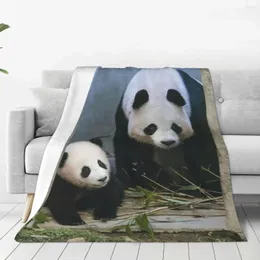 Coperte Fubao Aibao Panda Coperta per animali Calore invernale Copriletto decorativo per viaggi di biancheria da letto di lusso