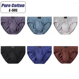 Underpants 6pcs/lotmen 's Pure Cotton 속옷 섹시 삼각형 반바지 Bulift 통기성 부드러운 직물 남성 플러스 크기 L-5XL