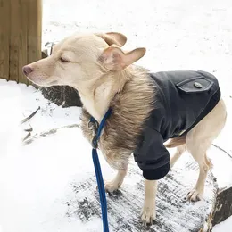 Abbigliamento per cani Abbigliamento per animali domestici Abbigliamento autunnale e invernale Colletto in pelliccia Cucciolo caldo in pelle