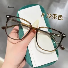 Sunglasses Big Frame Without Makeup Retro Bluelight Blocking Glasses For Women TR90 Ultralight Eyewear Frames Men Computer Eyepieces