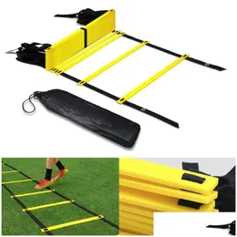 統合フィットネス装置ナイロンストラップトレーニングラダーアジリティスピードラダーステア​​サッカーサッカー機器のためのアジャイル階段ドロップDHCCS