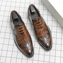 Sapatos casuais masculinos padrão de crocodilo couro estilo britânico designer elástico mocassins masculino tênis mocassins
