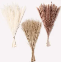 60 st pampas dekor torkade blommor bouqet pompass gräs grenar arrangemang bröllop hem dekoration vass pampas secas grandes3508959