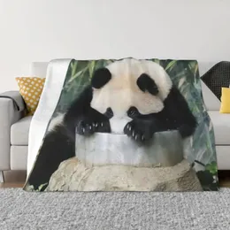 ブランケットfubao panda fu bao animal aibao blanket耐久性のある長持ちする旅行のための超暖かいオールシーズンのコンフォートスロー