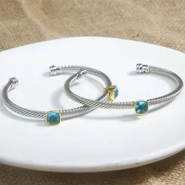 Jade Angel Classic Gold-Plated Cable Bangle Set inliad Blue zircon 4mm Luxury Bracelet for Women Banquet Partyクリスマスジュエリー240327